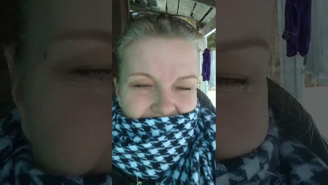 ЗЕФИР .. НЕ ТЮЛЬПАНЫ 😄 НО ВСЕ ЖЕ ...... смотреть онлайн