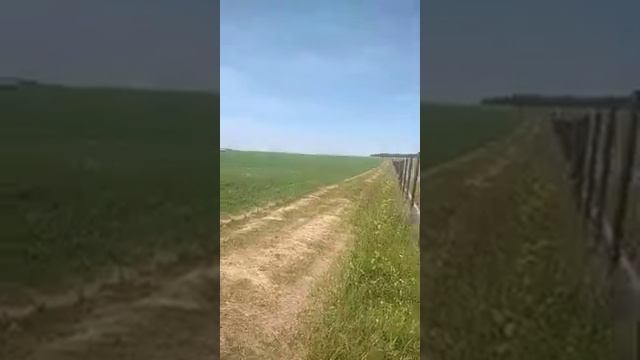 Наблюдашки.Чувашия родина страусов.проехал мимо страусиной фермы смотреть онлайн