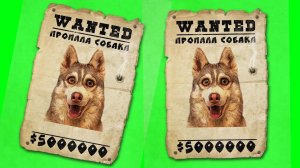 НАС ПОХИТИЛИ!! (Хаски Бублик) Говорящая собака Mister Booble