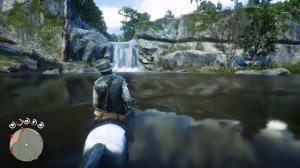 РДР2 Сокровище ЯДОВИТОЙ ТРОПЫ.  Где найти тайник с золотом?