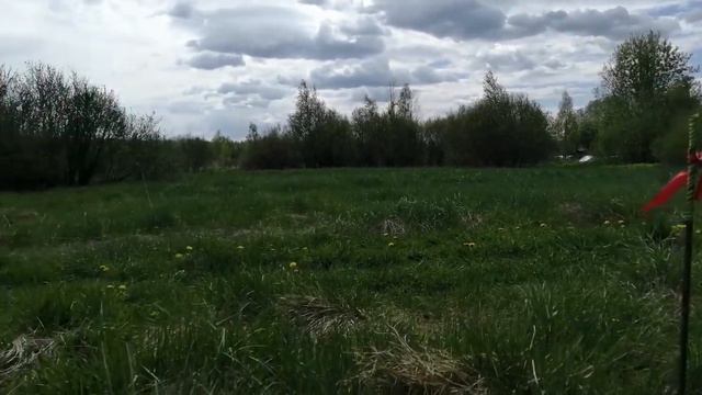 Покупайте землю! Ее больше не будет! Марк Твен. смотреть онлайн