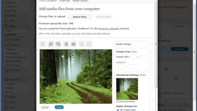 Wordpress Platform :: Introduction & Basic Uses смотреть онлайн