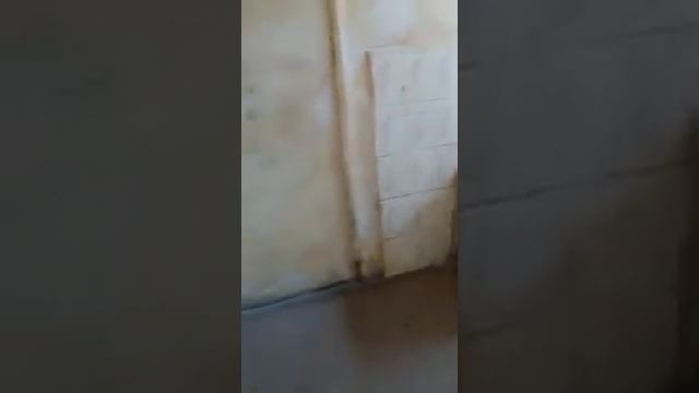 Видео из госпиталя на Герцена в Калининграде смотреть онлайн