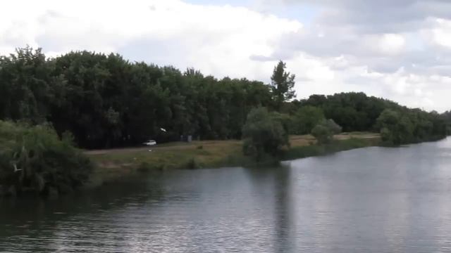 речные чайки в Журавлёвском Гидропарке Харьков river gulls смотреть онлайн