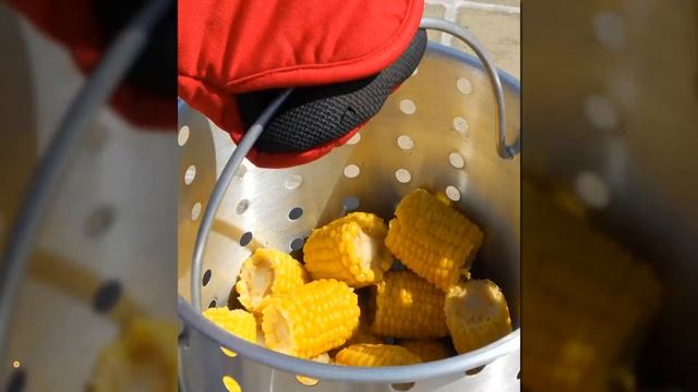 Best Turkey Fryer Reviews 2023 | Best Budget Turkey Fryers (Buying Guide) смотреть онлайн