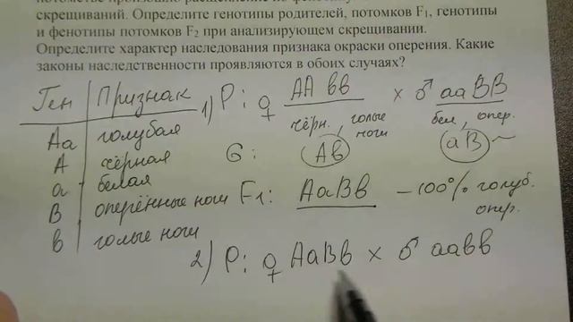 Решение задач по генетике (ЕГЭ) смотреть онлайн