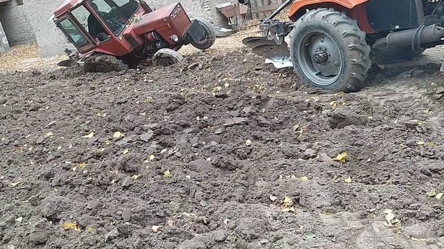 31-oktabr, 2023 смотреть онлайн