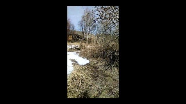 Деревня с домом где живут мухи смотреть онлайн