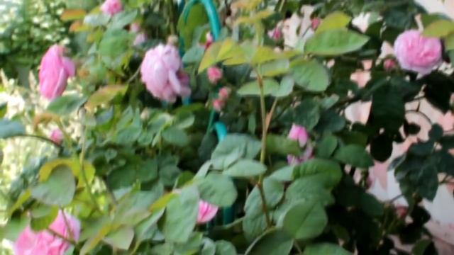 Детский праздник в загородном доме с бассейном. Супер весело.