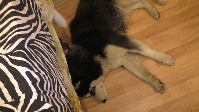 Сода + Перекись = Домашняя Химчистка!!! смотреть онлайн