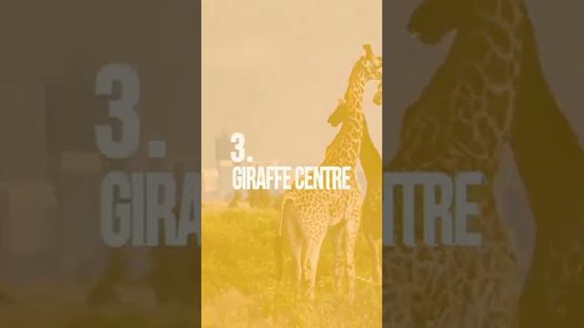 Top 5 places to visit in Nairobi смотреть онлайн