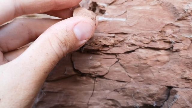 Нашла лучшее место добычи Красной-приозёрной" глины и много её пробы и хруста. Часть 1 смотреть онлайн