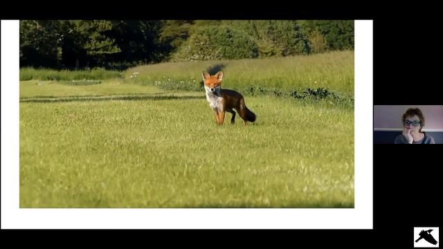 In Conservation With… Mary Colwell