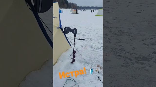 Истринское водохранилище #рыбалка #shorts #fishing #жерлицы #рыба #топ #щука #плотва #палатка #fish смотреть онлайн