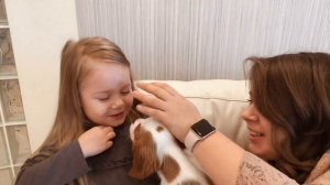 МЫ КУПИЛИ СОБАКУ| Первый день дома| Кавалер Кинг Чарльз Спаниель