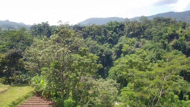 VIEW DESA WISATA PAKIS /DRONE SJRC F114K PRO смотреть онлайн