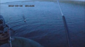 как ловить на  китайскую сетку кормушку