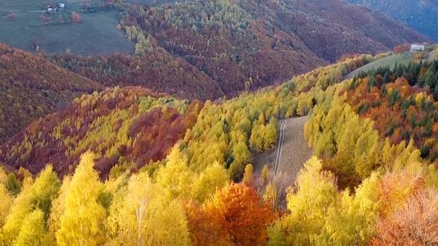 Все ваши заботы исчезнут, если вы послушаете эту музыку ? Расслабляющая музыка успокаивает нервы смотреть онлайн