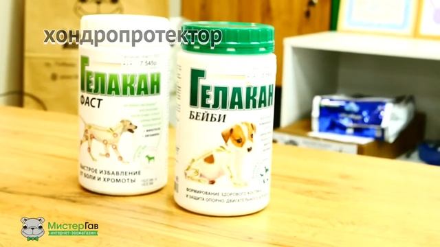 Новинки недели зоомагазин Мистер Гав смотреть онлайн