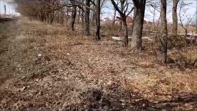 Благовещенье. Весна. Чистая планета. смотреть онлайн