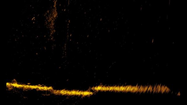 Трофейная рыбалка. Рыбалка при помощи датчика Active Target от Lowrance