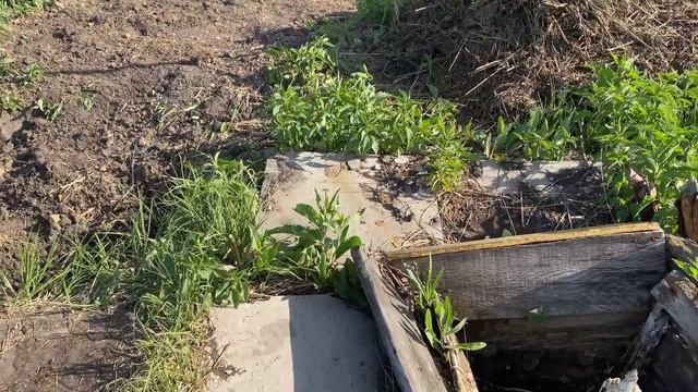 Купили ЗАБРОШЕННУЮ ДАЧУ | Строю бытовку на блоках из бруса | Фундамент почти готов | # 12 смотреть онлайн