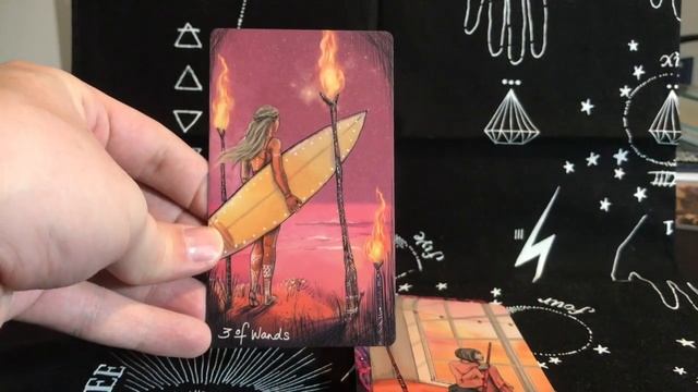 LightSeer's Tarot & Muse Tarot Unboxing смотреть онлайн
