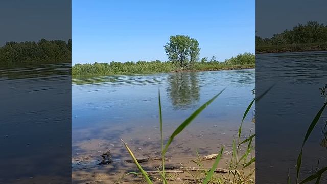 Sea Pro T 3 S ,в конце чуть лодку не порвал