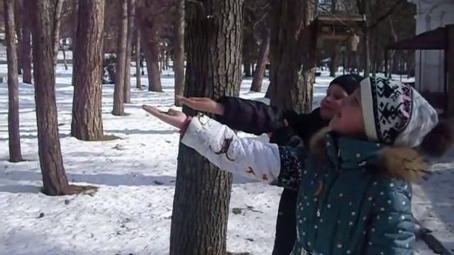 Даша кормит синичек смотреть онлайн