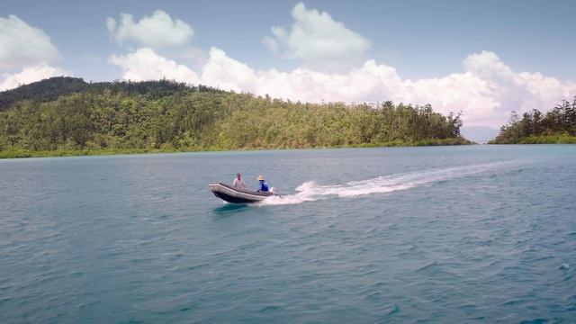 Акула-убийца? (документальный фильм, 2021)