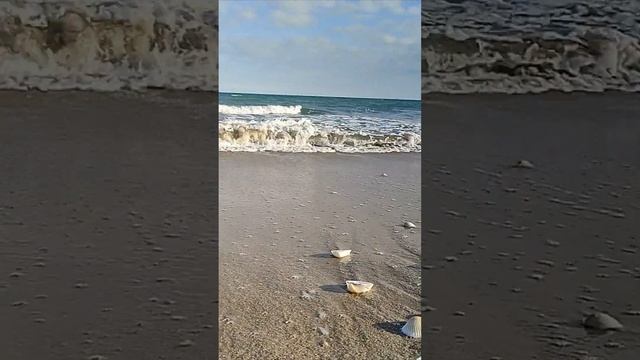 Чёрное море ? пляж ?⛱️ смотреть онлайн
