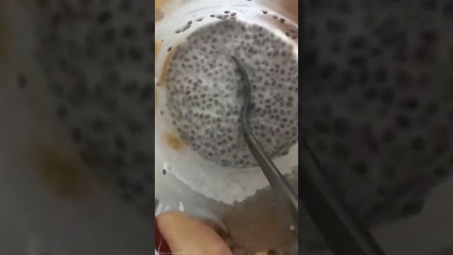 Десерт с семенами чиа и манго