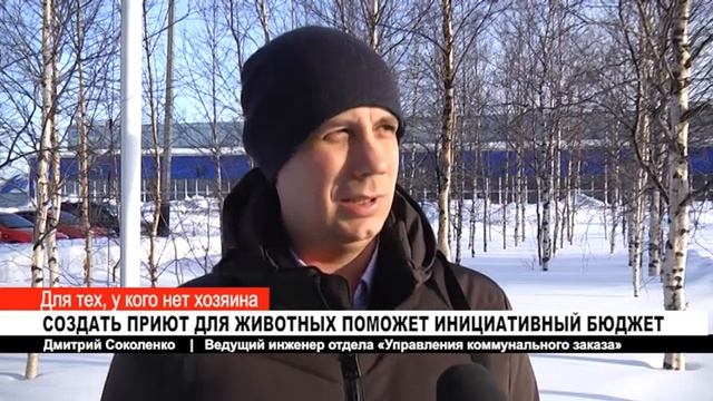 СОЗДАТЬ ПРИЮТ ДЛЯ ЖИВОТНЫХ ПОМОЖЕТ ИНИЦИАТИВНЫЙ БЮДЖЕТ смотреть онлайн