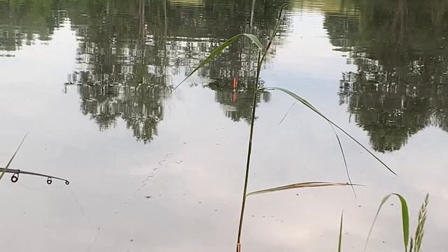 Рыбалка на карася Смоленск смотреть онлайн