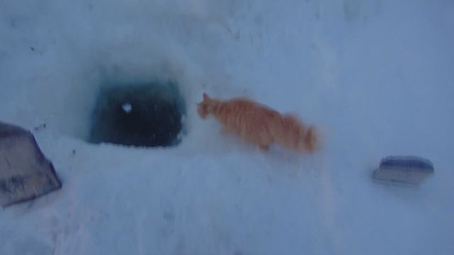 Если заблокируют Youtube - как нас найти в Telegram смотреть онлайн