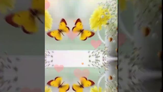 ХОРОШЕГО НАСТРОЕНИЯ НА ВЕСЬ ДЕНЬ!! ☀️?☀️ БЛАГОПОЛУЧИЯ,МИРА,ДОБРА!!! смотреть онлайн