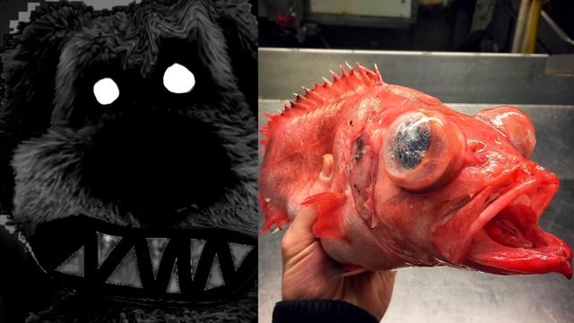 Talking Ben Becoming Uncanny *You Caught That Fish* смотреть онлайн