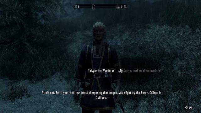 Skyrim - Talsgar the Wanderer (Random Encounter) смотреть онлайн