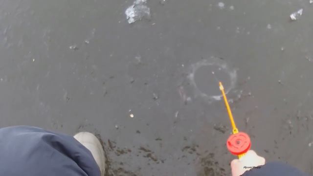 Первый лед. Открытие сезона 17-18г. Winter fishing. смотреть онлайн