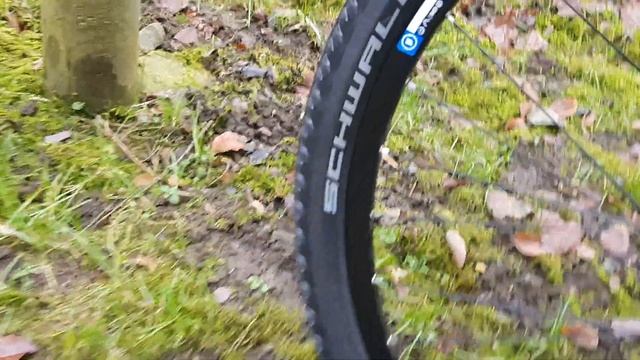 Tuning fahrrad mit Schwalbe Reifen Hurricane Performance 29×2.25,(57-622) смотреть онлайн
