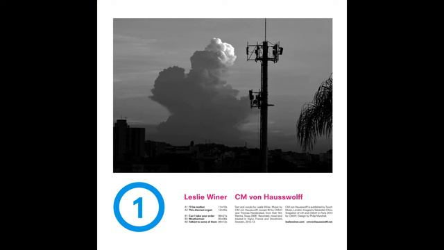 Leslie Winer / Carl Michael von Hauswolff - Can I Take Your Order смотреть онлайн