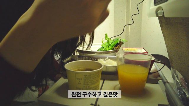 하와이 비행기Vlog✈️세상엔 맛있는게 많아..건강한 기내식🍴🥗 Korea's airline food смотреть онлайн