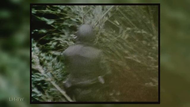"America's Special Forces During the Vietnam War" - The Complete Story смотреть онлайн