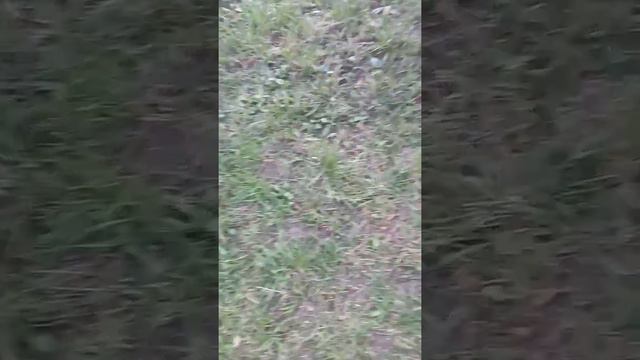 2 типа людей.ПРОСТО РЖАКА!!!!! смотреть онлайн