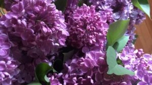 ЛАНДШАФТ  НЕПРИХОТЛИВОГО САДА СВОИМИ РУКАМИ 6 СОТОК.( НЕДОРОГО, БЫСТРО, ДОСТУПНО )