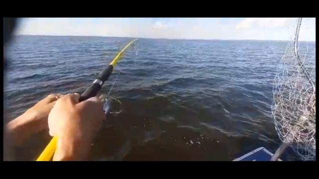 ЖОР ЩУКИ.Рыбалка на Рыбинском водохранилище 2023 г.#105 смотреть онлайн