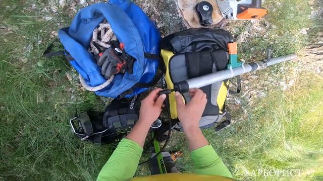 Удаление арбористами трёх деревьев разными способами. Тест снаряжения от Arbostuff и СВТ