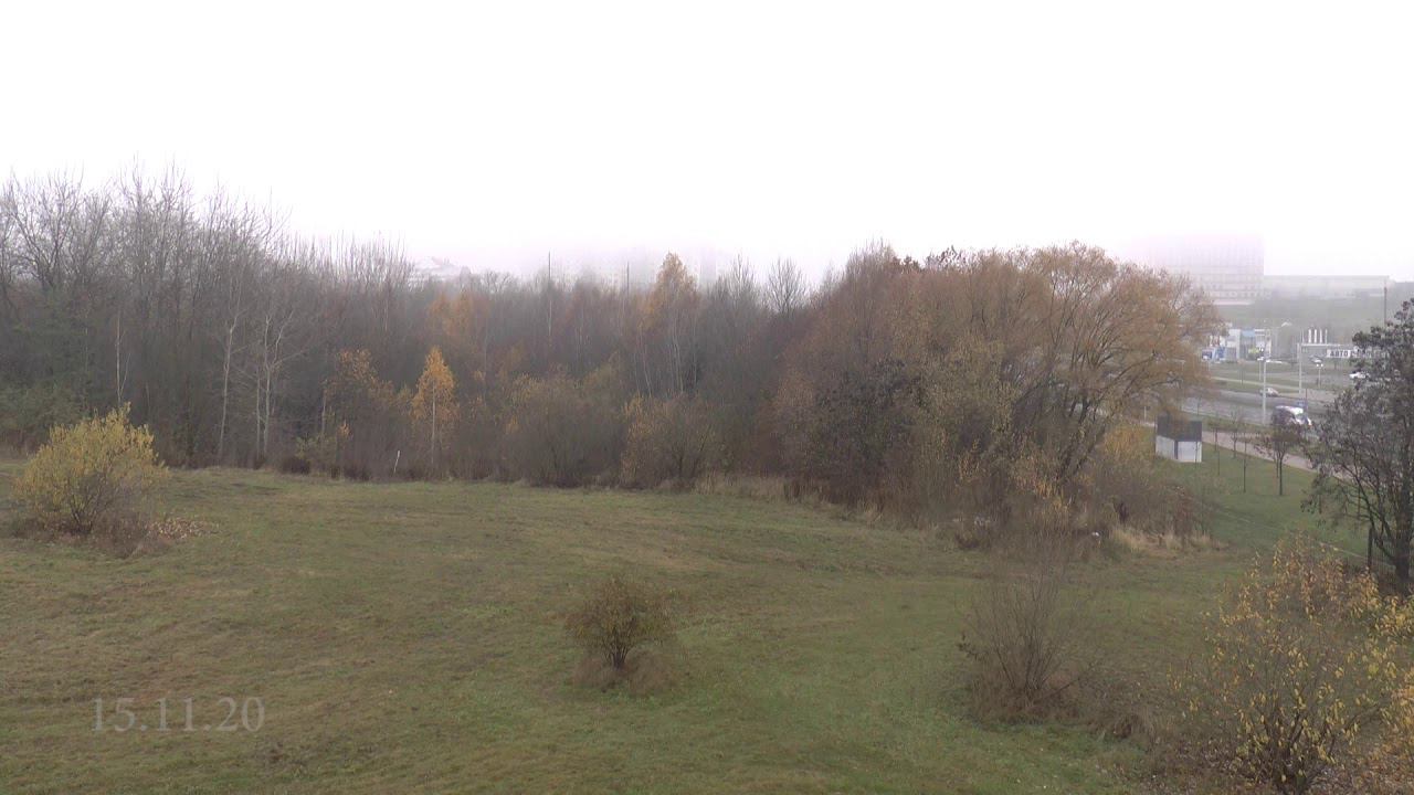 колокольный звон 15 11 20 очень интересный звук в конце звона смотреть онлайн