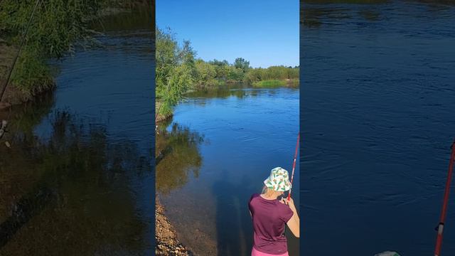 #выходные #река #природа #2024 #лето #live #shorts #bonusnuum