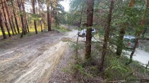 Видео подъем в лесу